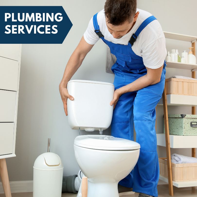 Plumbing Company in Fort Myers, FL